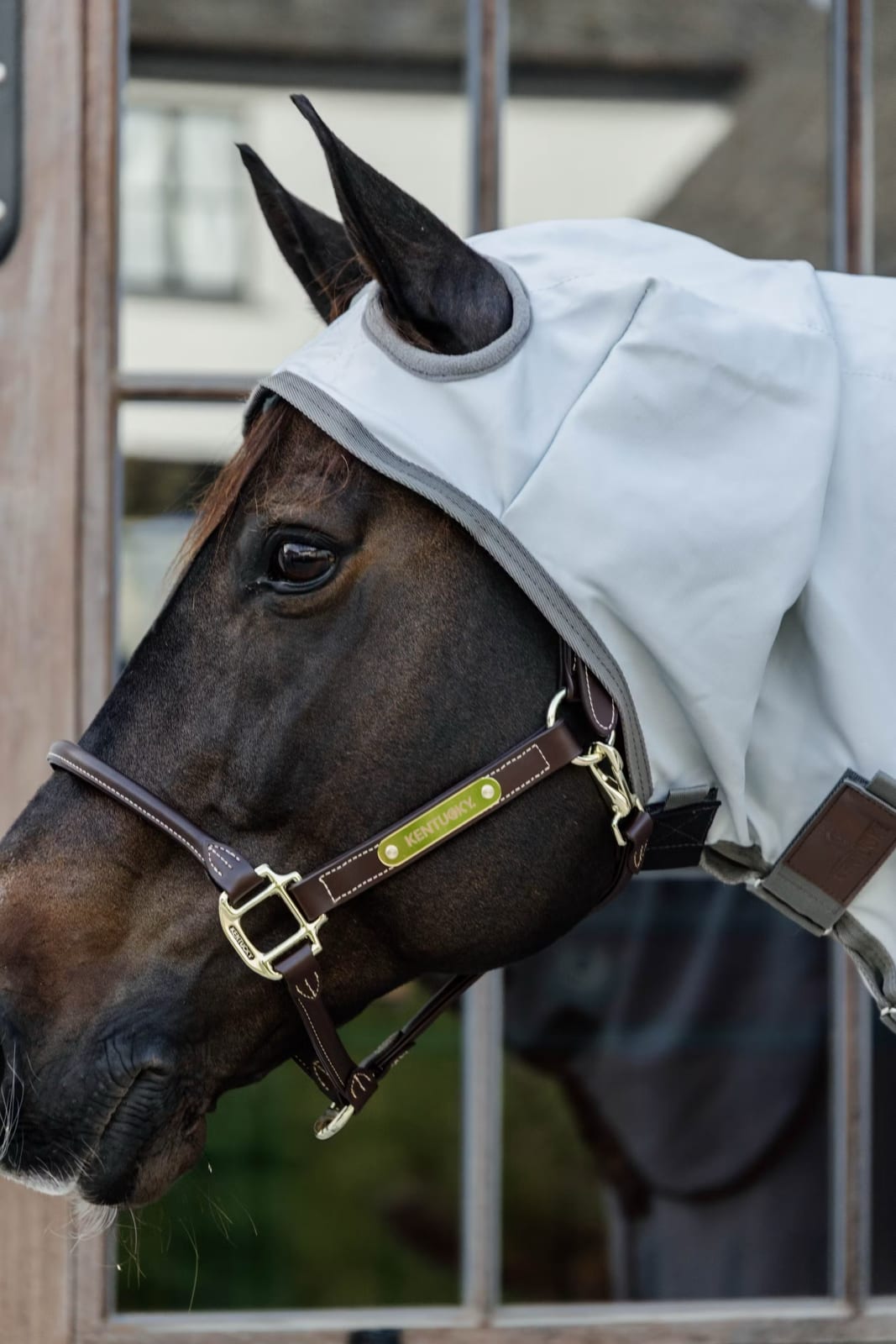 Kentucky Eczema Rug w/Hood - Løwenborg - Kentucky Horsewear