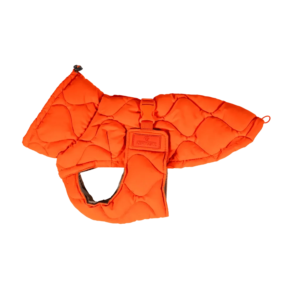 Kentucky Dog Coat Winter Pina - Løwenborg - Kentucky Dogwear