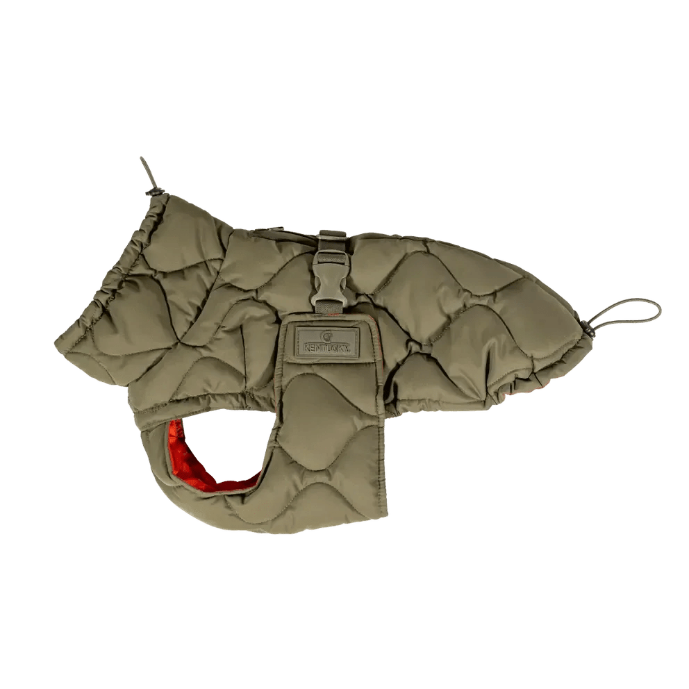 Kentucky Dog Coat Winter Pina - Løwenborg - Kentucky Dogwear