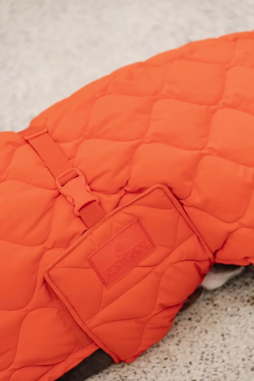 Kentucky Dog Coat Winter Pina - Løwenborg - Kentucky Dogwear