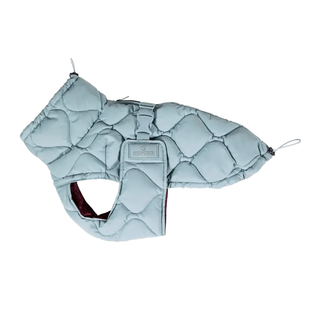 Kentucky Dog Coat Winter Pina - Løwenborg - Kentucky Dogwear