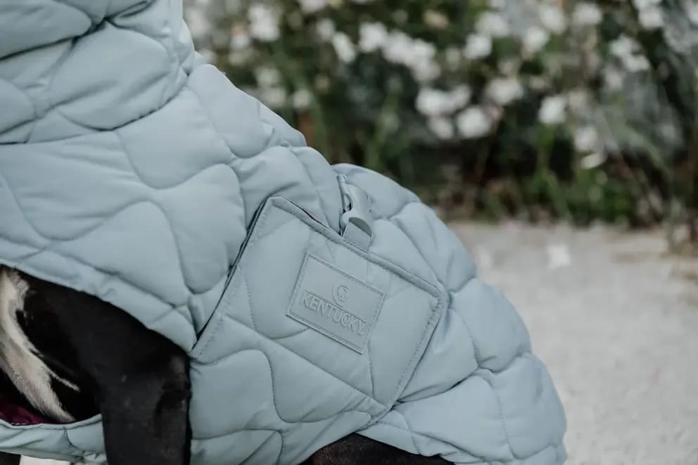 Kentucky Dog Coat Winter Pina - Løwenborg - Kentucky Dogwear