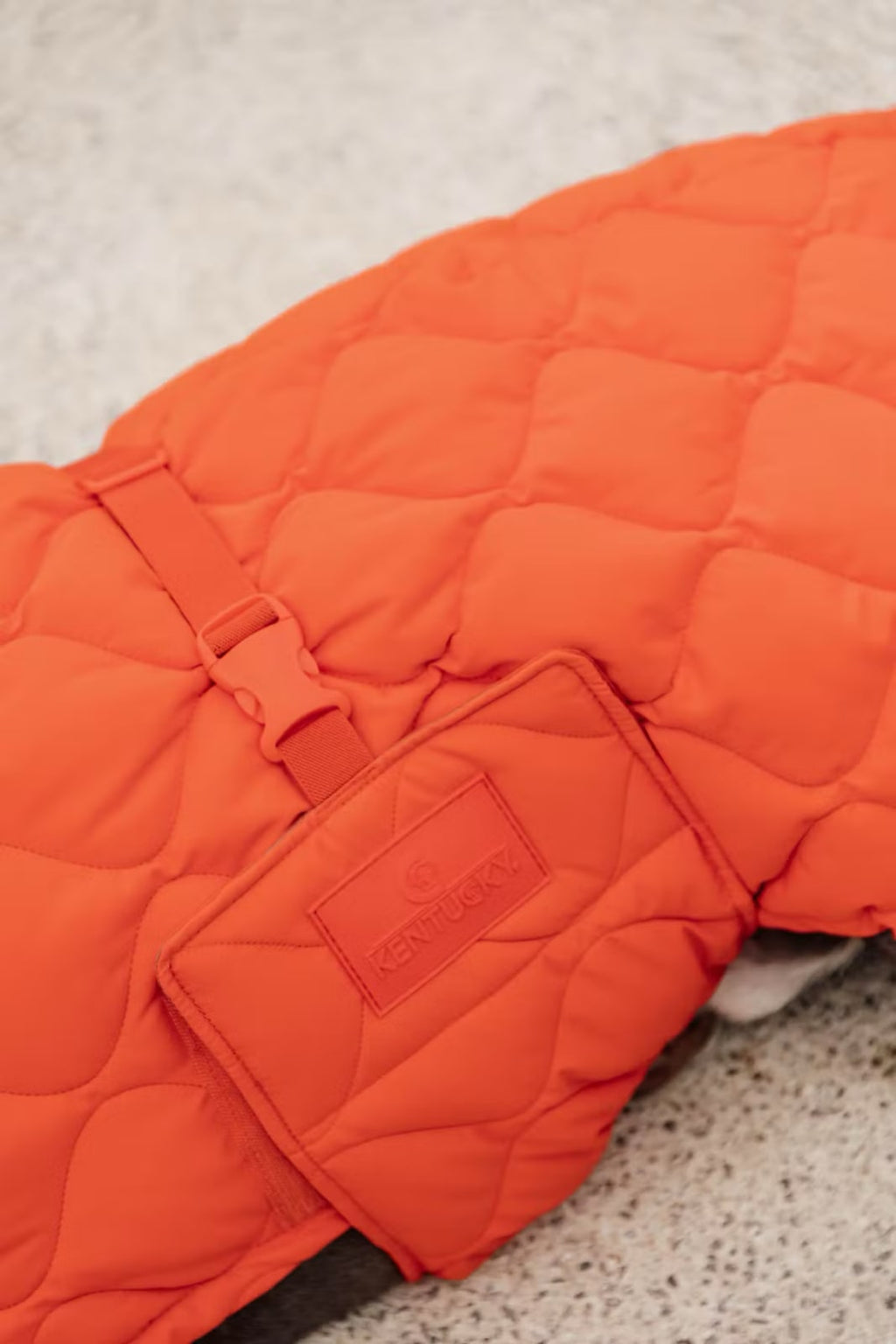 Kentucky Dog Coat Winter Pina - Løwenborg - Kentucky Dogwear
