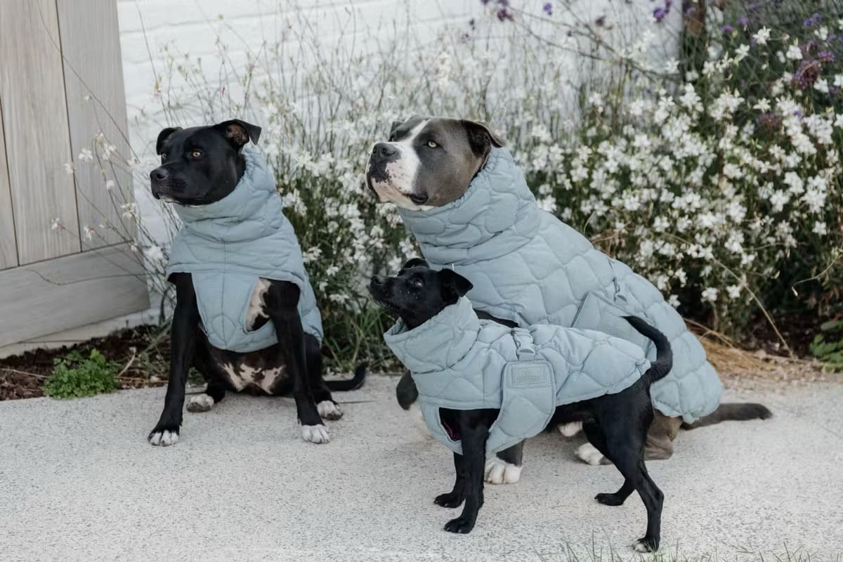 Kentucky Dog Coat Winter Pina - Løwenborg - Kentucky Dogwear