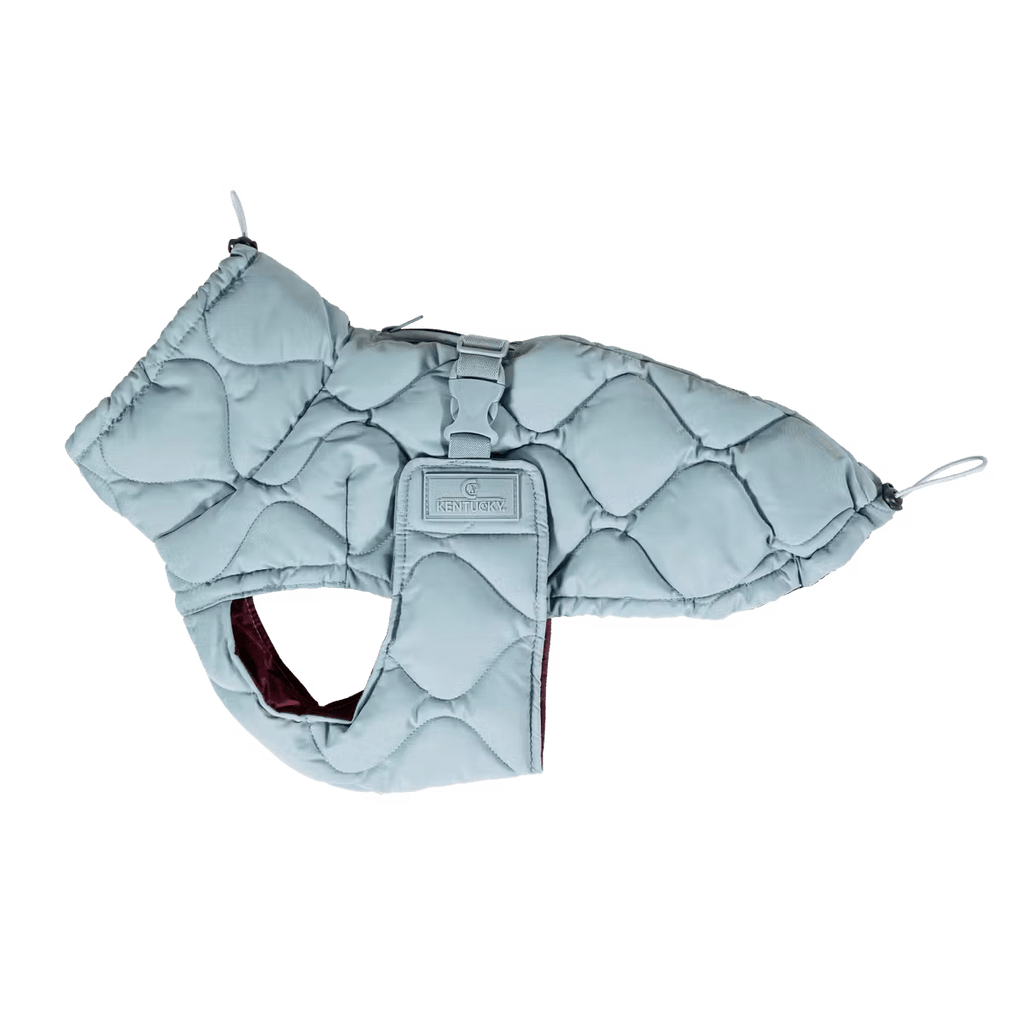 Kentucky Dog Coat Winter Pina - Løwenborg - Kentucky Dogwear