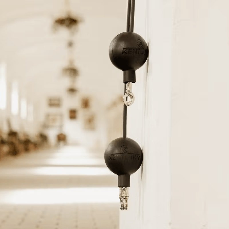Kentucky Lead & Wall Protection Rubber Ball - Løwenborg - Kentucky Horsewear