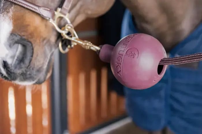 Kentucky Lead & Wall Protection Rubber Ball