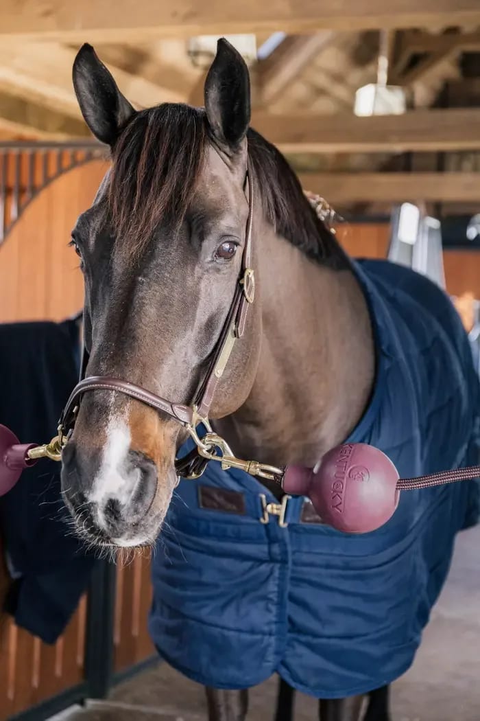 Kentucky Lead & Wall Protection Rubber Ball - Løwenborg - Kentucky Horsewear