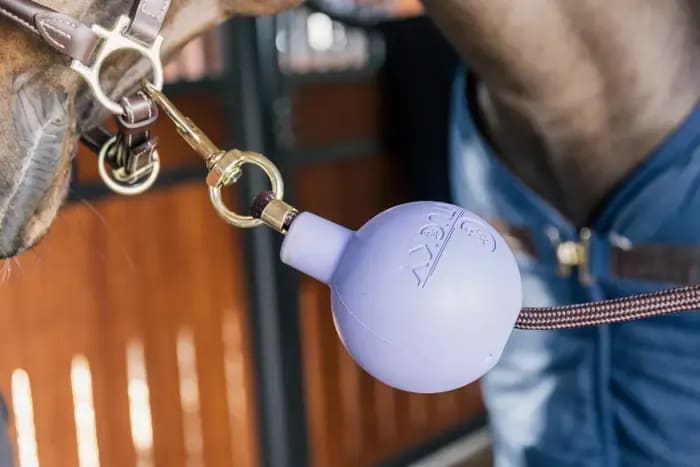 Kentucky Lead & Wall Protection Rubber Ball - Løwenborg - Kentucky Horsewear