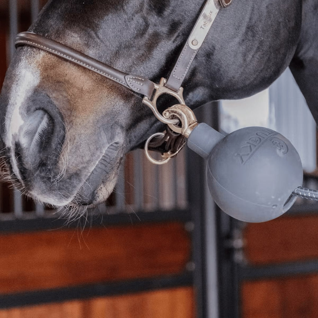 Kentucky Lead & Wall Protection Rubber Ball - Løwenborg - Kentucky Horsewear
