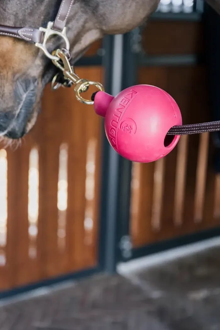 Kentucky Lead & Wall Protection Rubber Ball - Løwenborg - Kentucky Horsewear