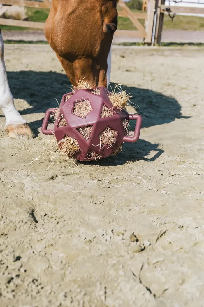Kentucky Relax Horse Play & Hay Ball - Løwenborg - Kentucky Horsewear