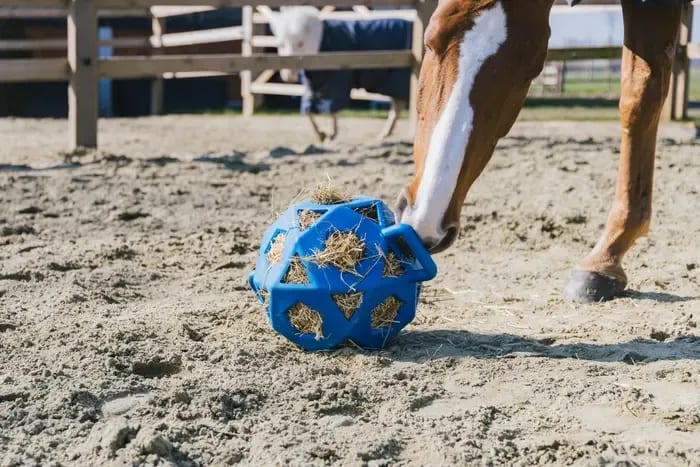 Kentucky Relax Horse Play & Hay Ball - Løwenborg - Kentucky Horsewear