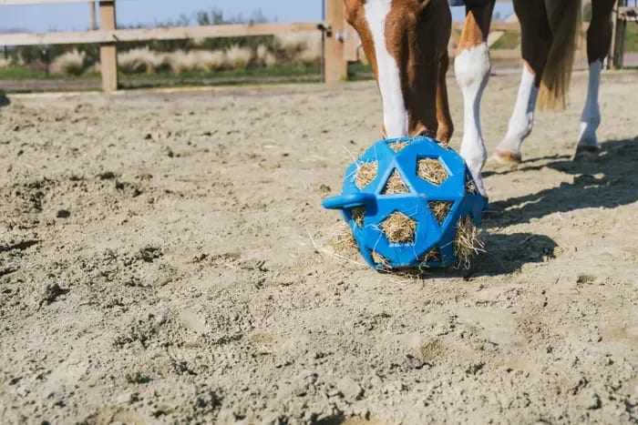 Kentucky Relax Horse Play & Hay Ball - Løwenborg - Kentucky Horsewear