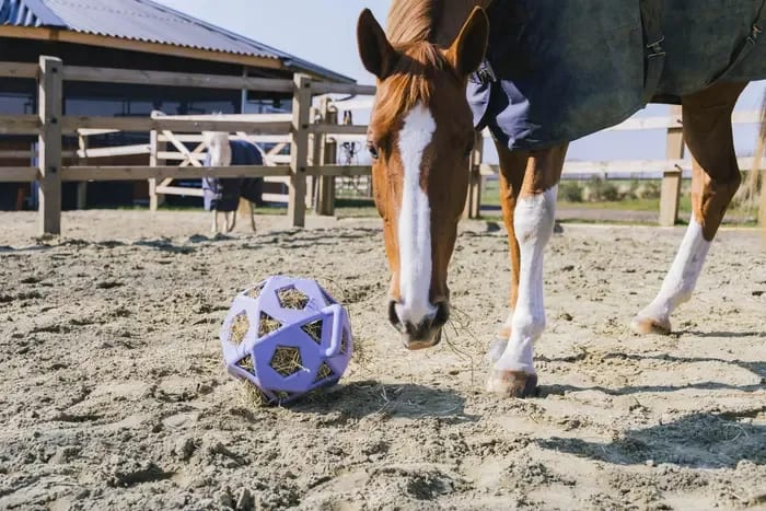 Kentucky Relax Horse Play & Hay Ball - Løwenborg - Kentucky Horsewear