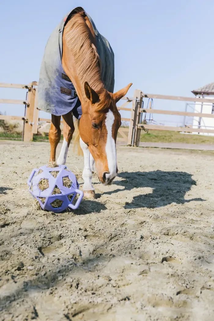 Kentucky Relax Horse Play & Hay Ball - Løwenborg - Kentucky Horsewear