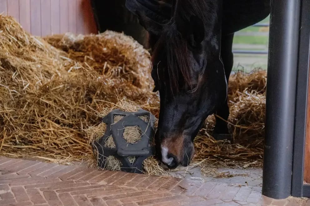 Kentucky Relax Horse Play & Hay Ball - Løwenborg - Kentucky Horsewear