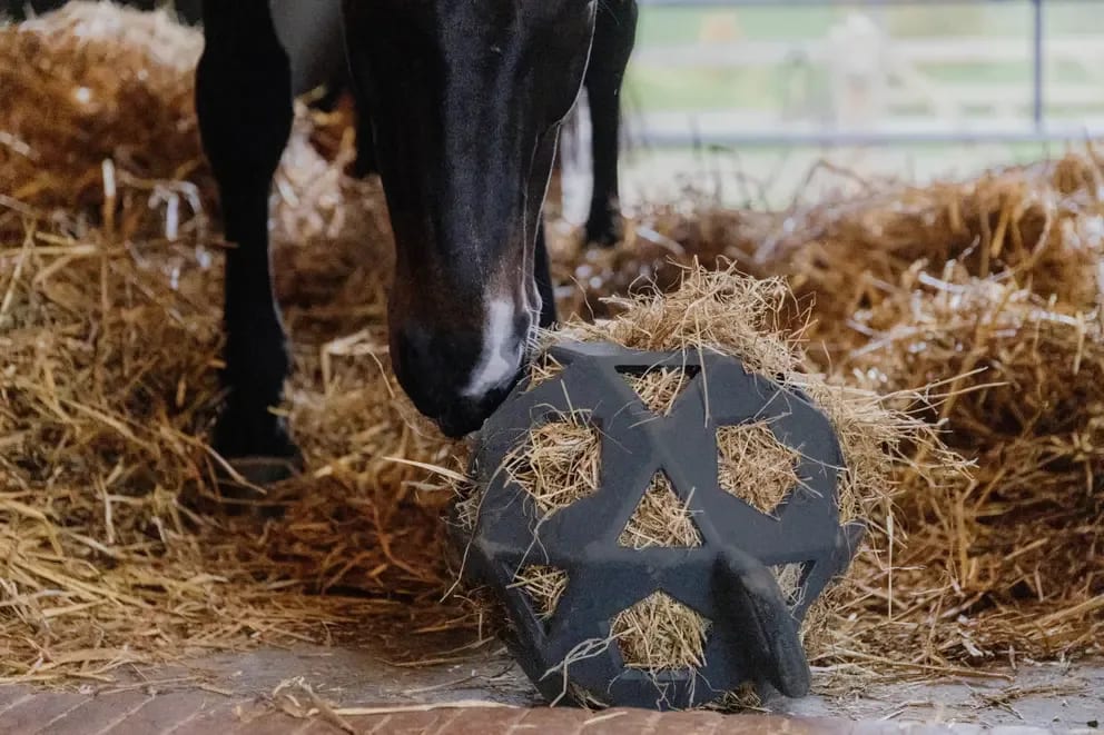 Kentucky Relax Horse Play & Hay Ball - Løwenborg - Kentucky Horsewear