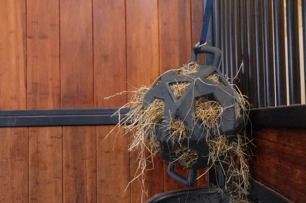 Kentucky Relax Horse Play & Hay Ball - Løwenborg - Kentucky Horsewear