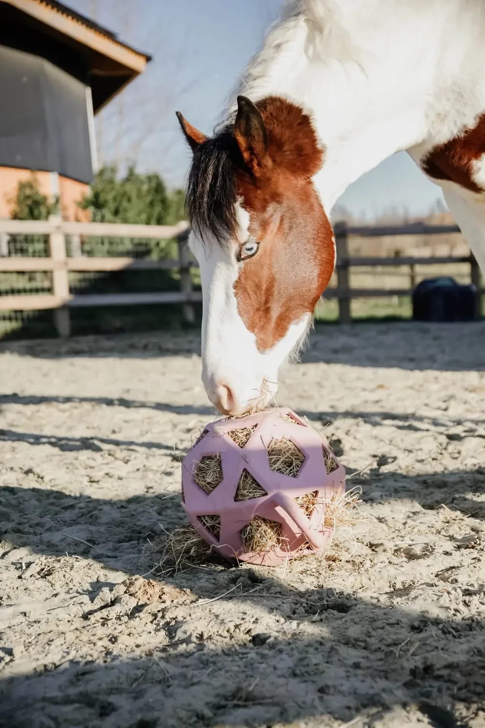 Kentucky Relax Horse Play & Hay Ball - Løwenborg - Kentucky Horsewear