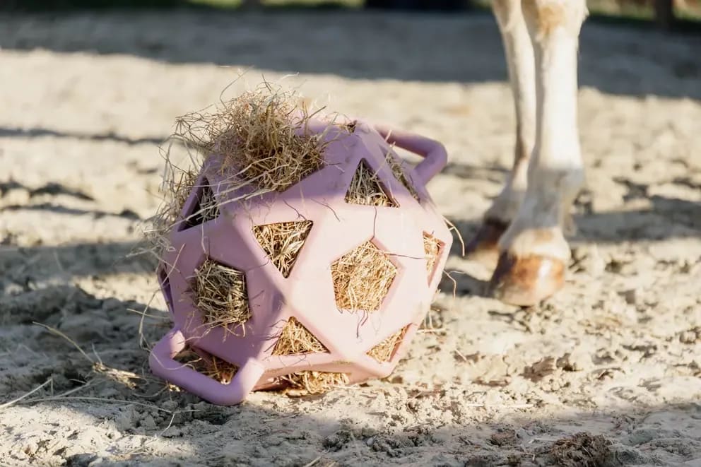 Kentucky Relax Horse Play & Hay Ball - Løwenborg - Kentucky Horsewear