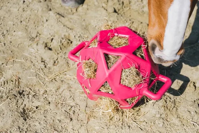 Kentucky Relax Horse Play & Hay Ball - Løwenborg - Kentucky Horsewear