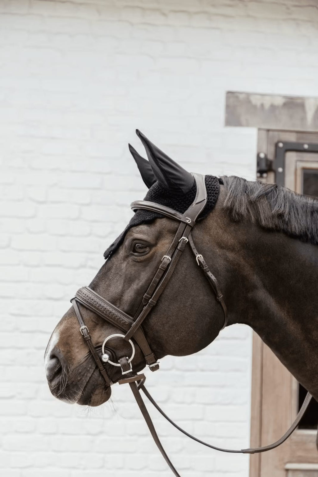 Kentucky Fly veil Wellington Wave - Løwenborg - Kentucky Horsewear