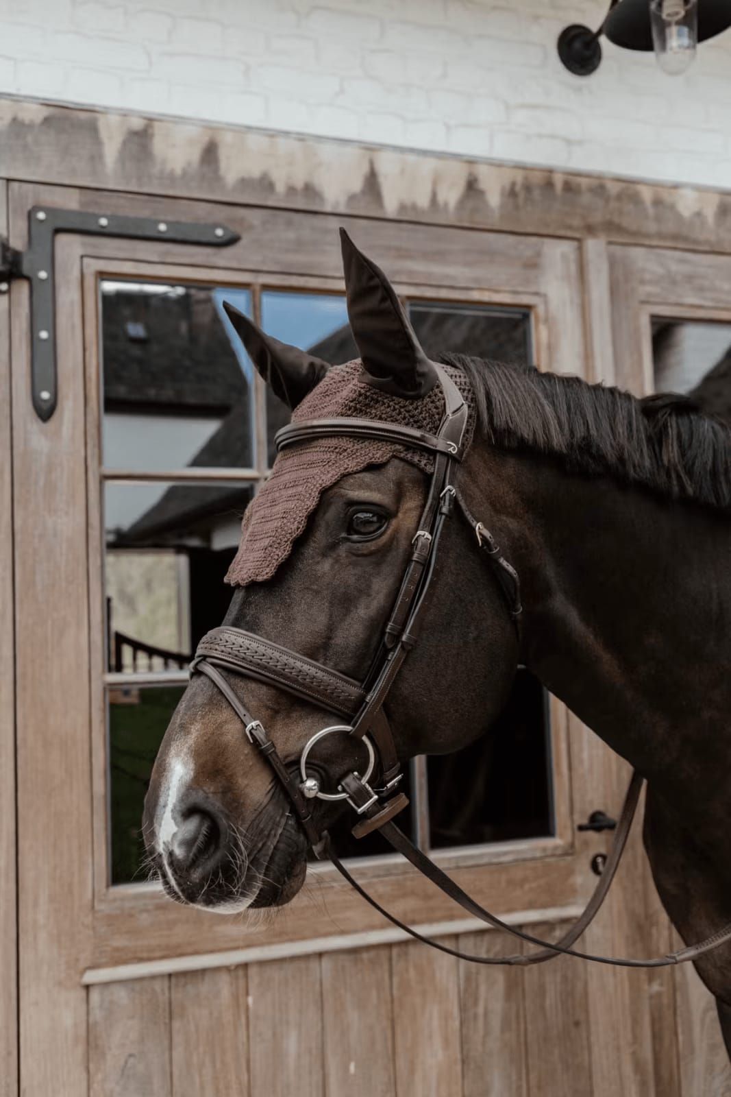 Kentucky Fly veil Wellington Wave - Løwenborg - Kentucky Horsewear