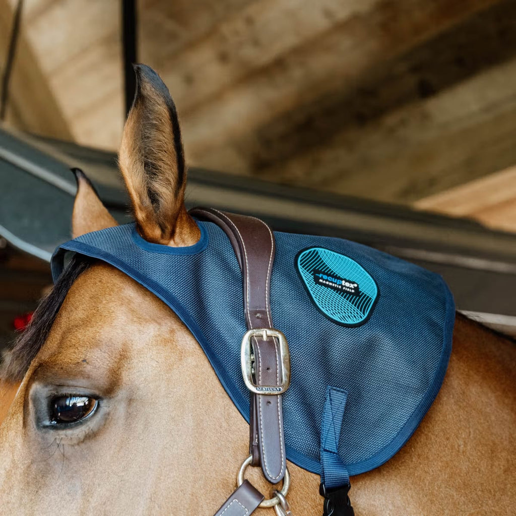 Kentucky Magnetic Neck Protector Recuptex - Løwenborg - Kentucky Horsewear