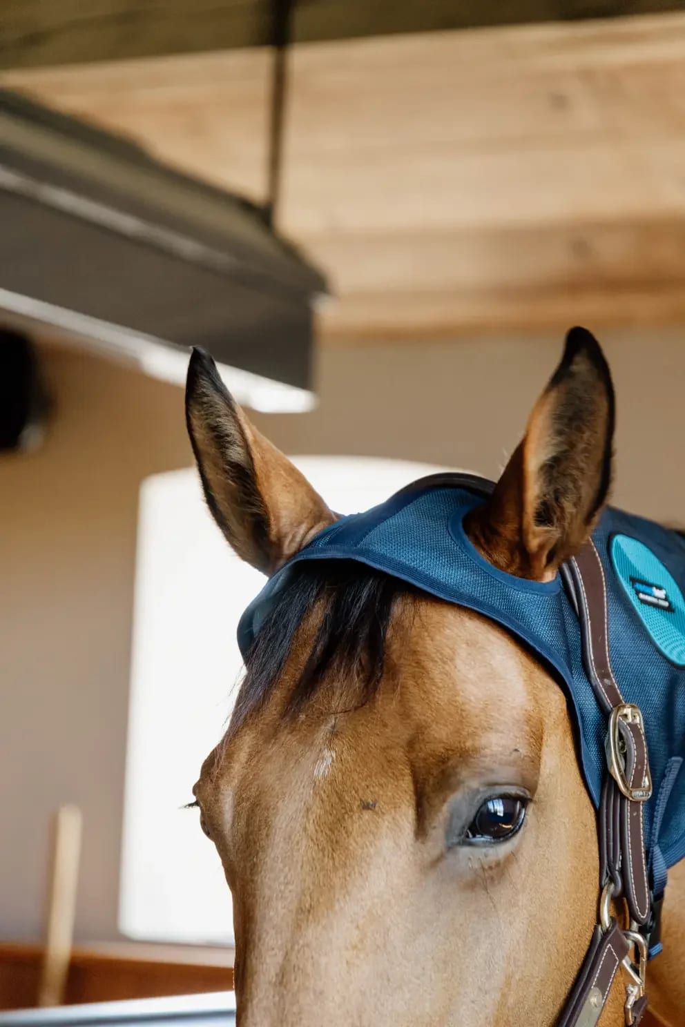Kentucky Magnetic Neck Protector Recuptex - Løwenborg - Kentucky Horsewear
