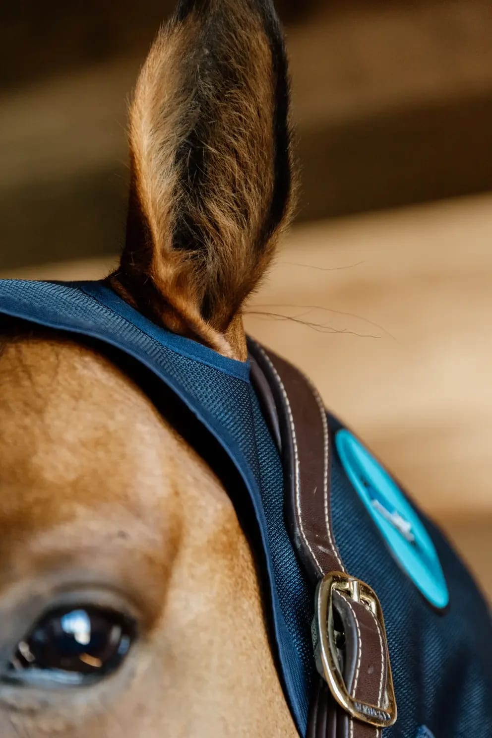 Kentucky Magnetic Neck Protector Recuptex - Løwenborg - Kentucky Horsewear
