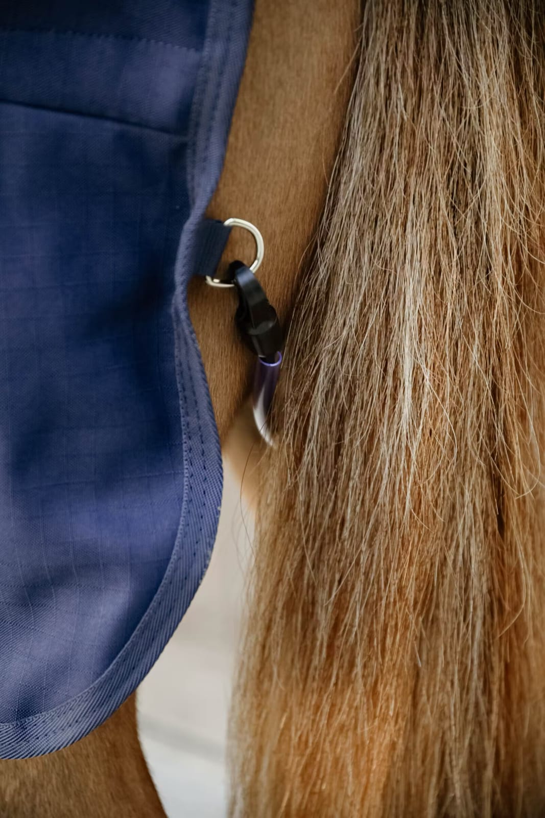 Kentucky Stable Rug Classic