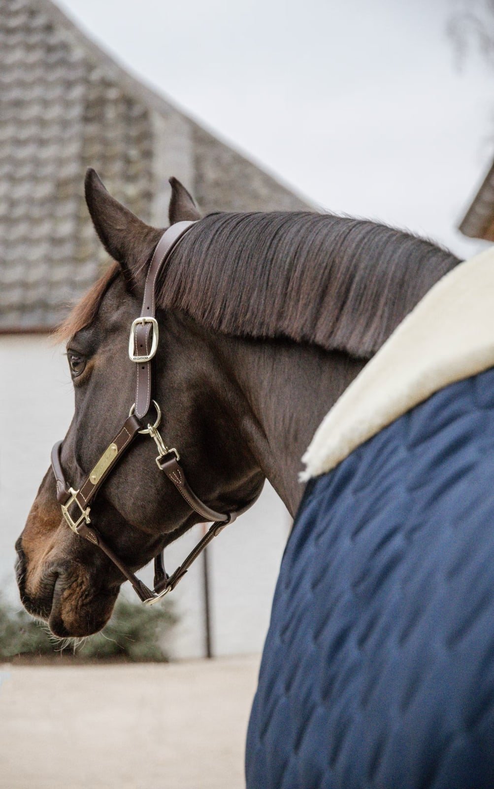 Kentucky Stable Rug Comfort - Løwenborg - Kentucky Horsewear