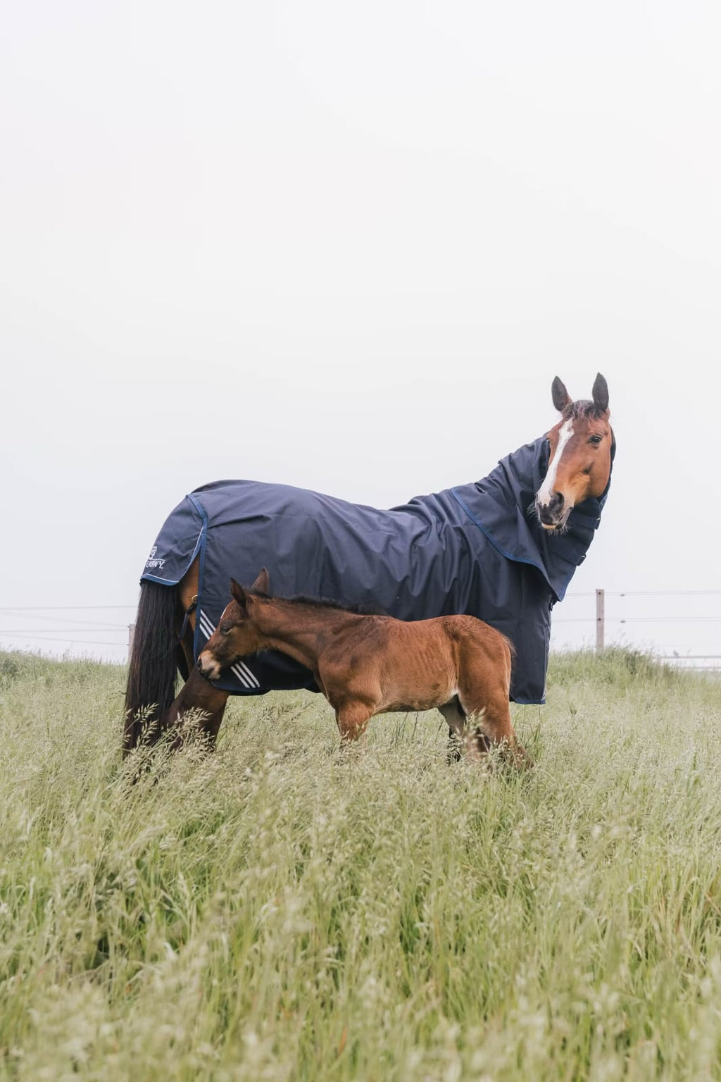 Kentucky Turnout Rug All Weather Waterproof Comfort - Løwenborg - Kentucky Horsewear
