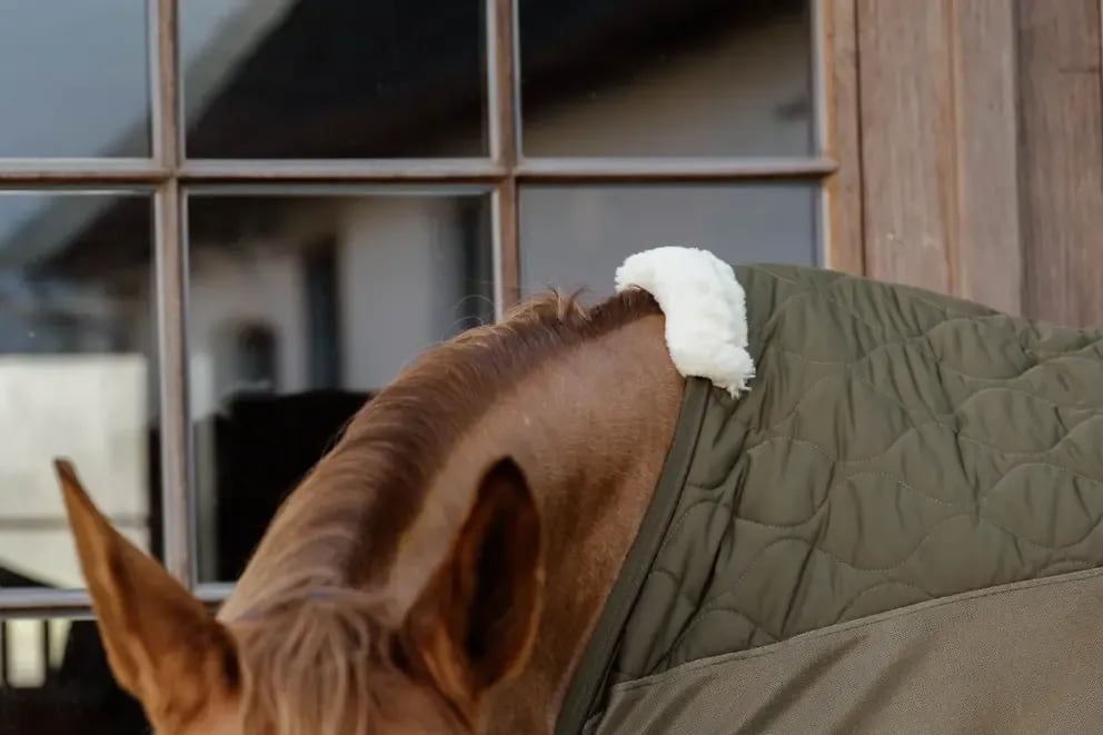 Kentucky Transport Combo Cooler Fleece - Løwenborg - Kentucky Horsewear