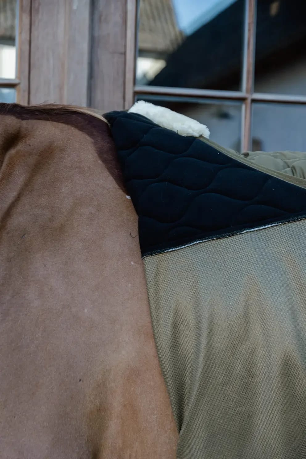 Kentucky Transport Combo Cooler Fleece - Løwenborg - Kentucky Horsewear