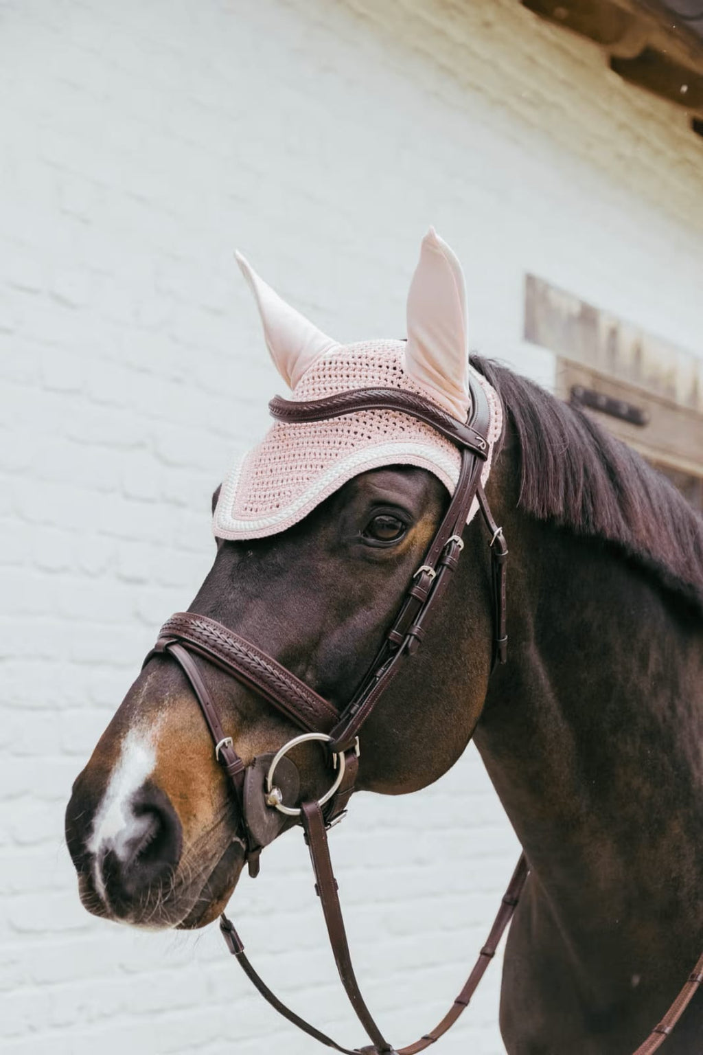 Kentucky Fly Veil Wellington Plaited Cord - Løwenborg - Kentucky Horsewear