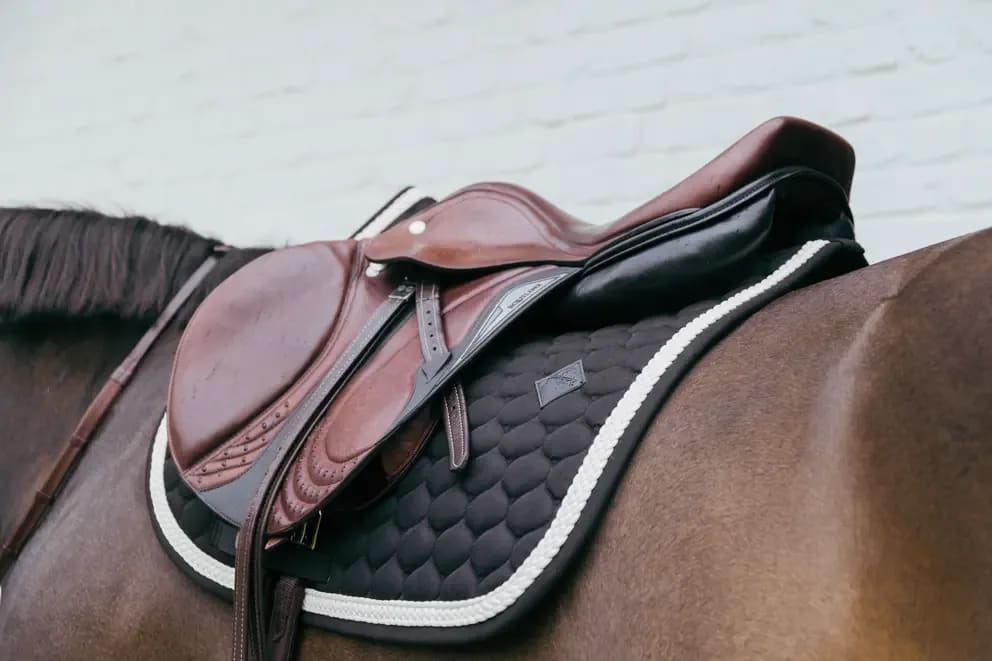 Kentucky Saddle Pad Plaited Cord Jumping - Løwenborg - Kentucky Horsewear
