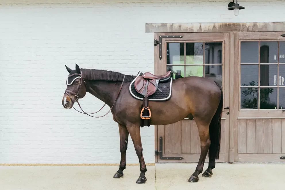 Kentucky Saddle Pad Plaited Cord Jumping - Løwenborg - Kentucky Horsewear