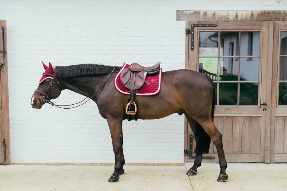 Kentucky Saddle Pad Plaited Cord Jumping - Løwenborg - Kentucky Horsewear