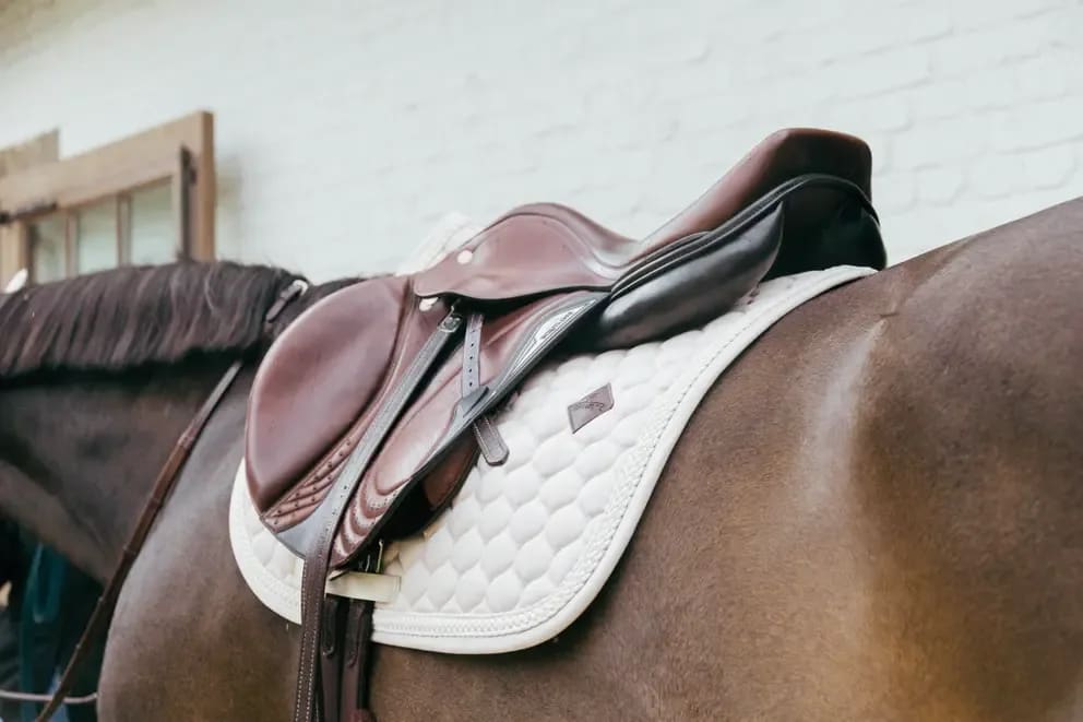 Kentucky Saddle Pad Plaited Cord Jumping - Løwenborg - Kentucky Horsewear