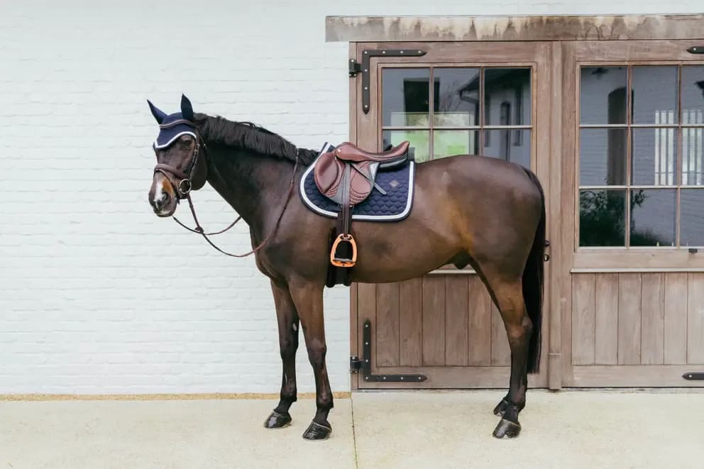 Kentucky Saddle Pad Plaited Cord Jumping - Løwenborg - Kentucky Horsewear
