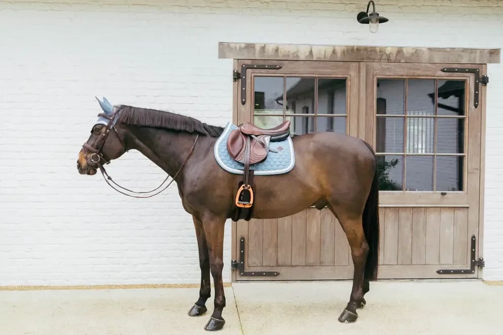 Kentucky Saddle Pad Plaited Cord Jumping - Løwenborg - Kentucky Horsewear