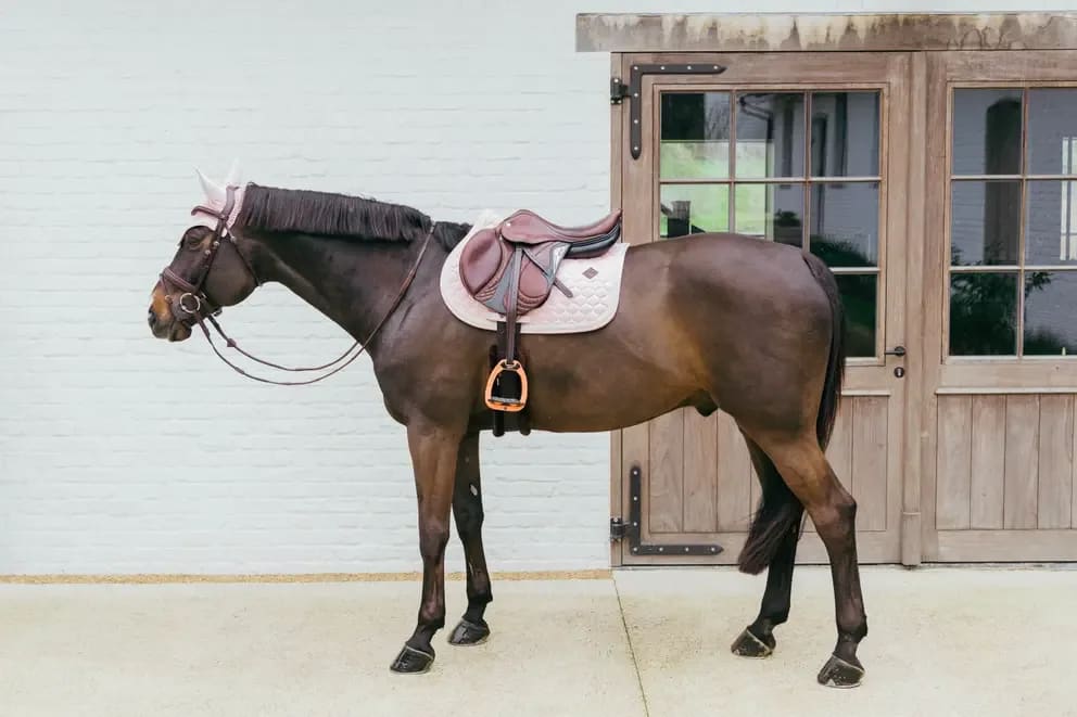 Kentucky Saddle Pad Plaited Cord Jumping - Løwenborg - Kentucky Horsewear