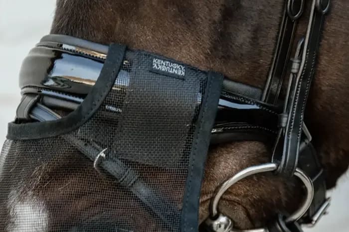 Kentucky Anti Fly Nose Net - Løwenborg - Kentucky Horsewear