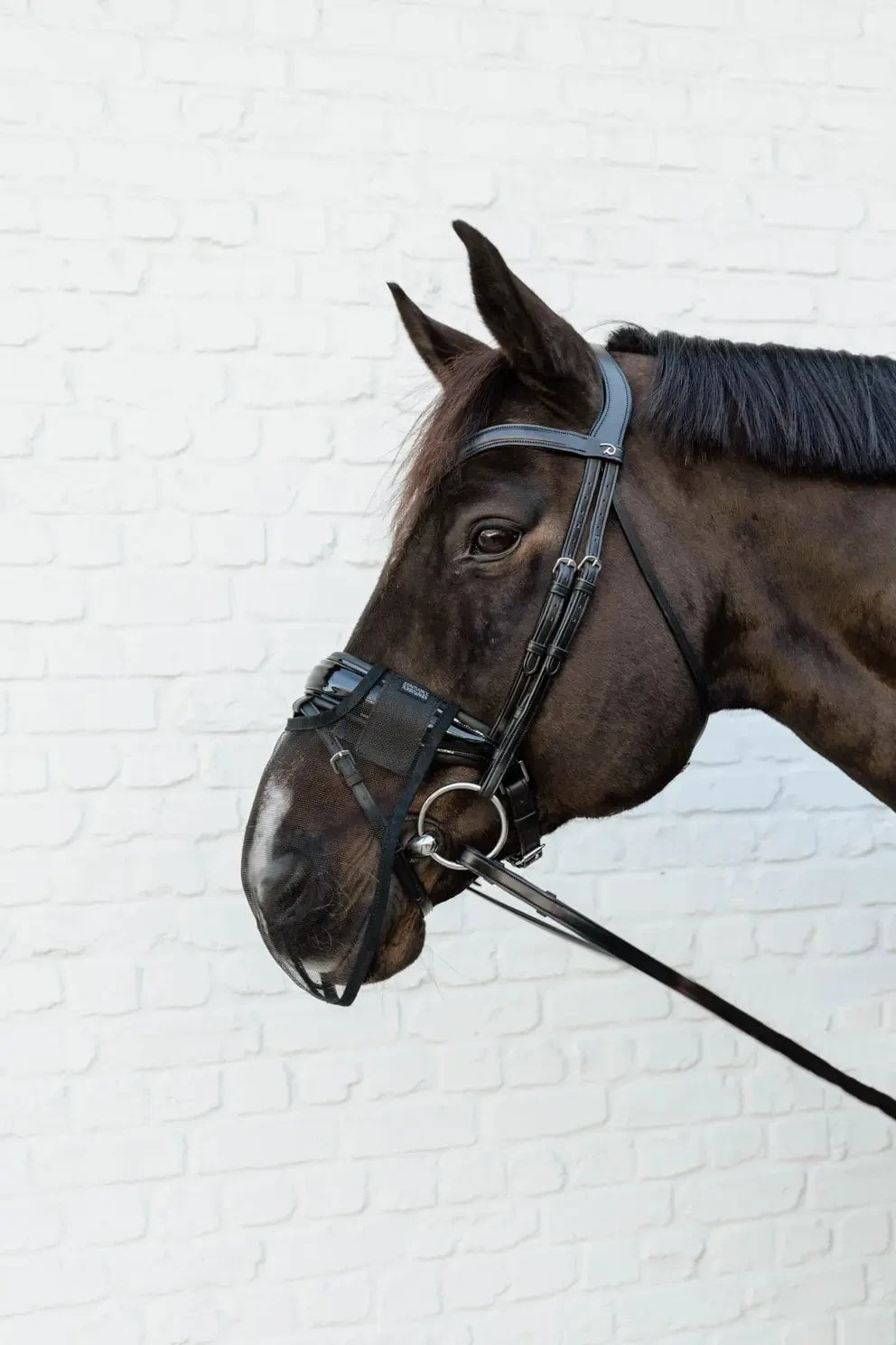 Kentucky Anti Fly Nose Net - Løwenborg - Kentucky Horsewear