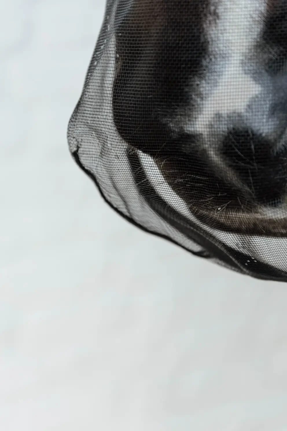 Kentucky Anti Fly Nose Net - Løwenborg - Kentucky Horsewear