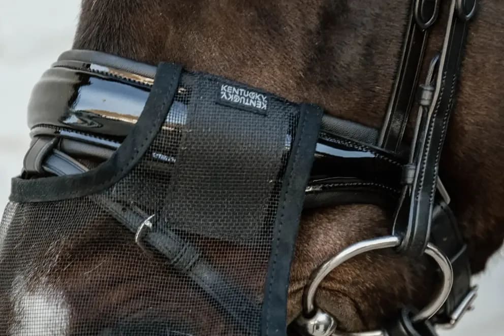 Kentucky Anti Fly Nose Net - Løwenborg - Kentucky Horsewear