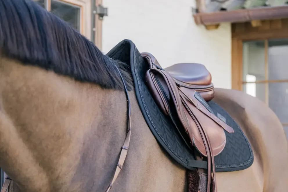Kentucky Saddle Pad Metal Chain Jumping - Løwenborg - Kentucky Horsewear