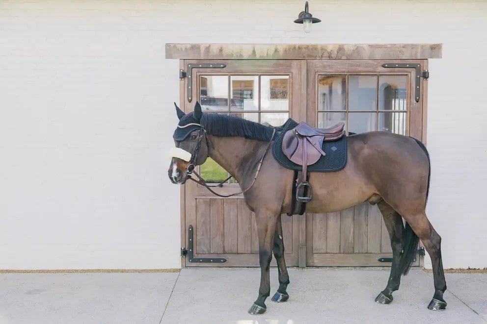 Kentucky Saddle Pad Metal Chain Jumping - Løwenborg - Kentucky Horsewear